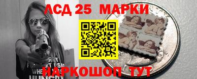 дмт Гатчина