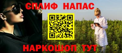 дмт Гатчина