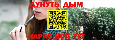 гашик Гагарин