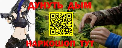дмт Гатчина
