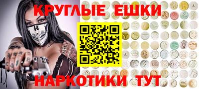 дмт Гатчина