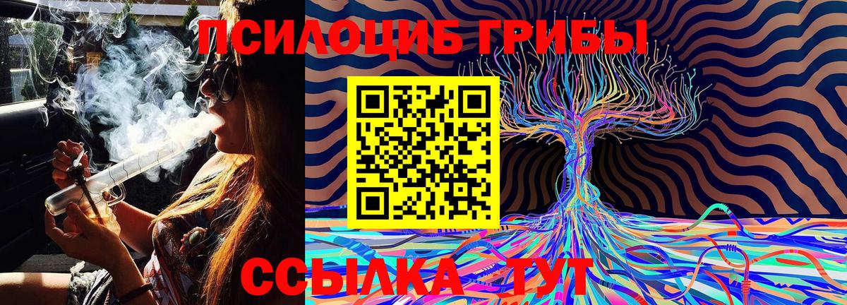 Острогожск  Галлюциногенные грибы MAGIC MUSHROOMS  Вход с VPN  продажа наркотиков  Галлюциногенные грибы Magic Shrooms 